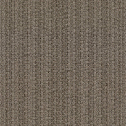 BERBER NYLON LOOP