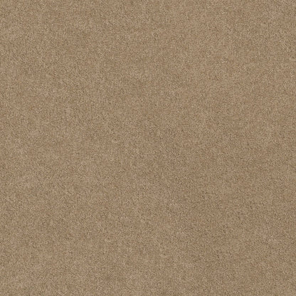 TEXTURE BCF