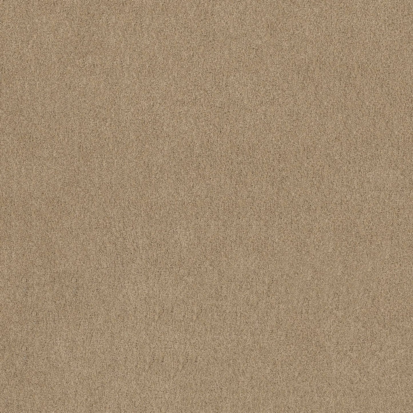 TEXTURE BCF