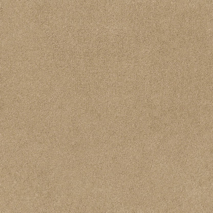 TEXTURE BCF