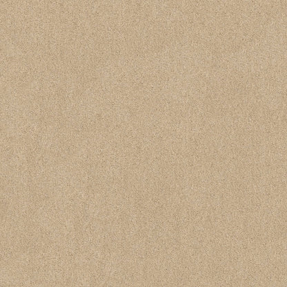TEXTURE BCF