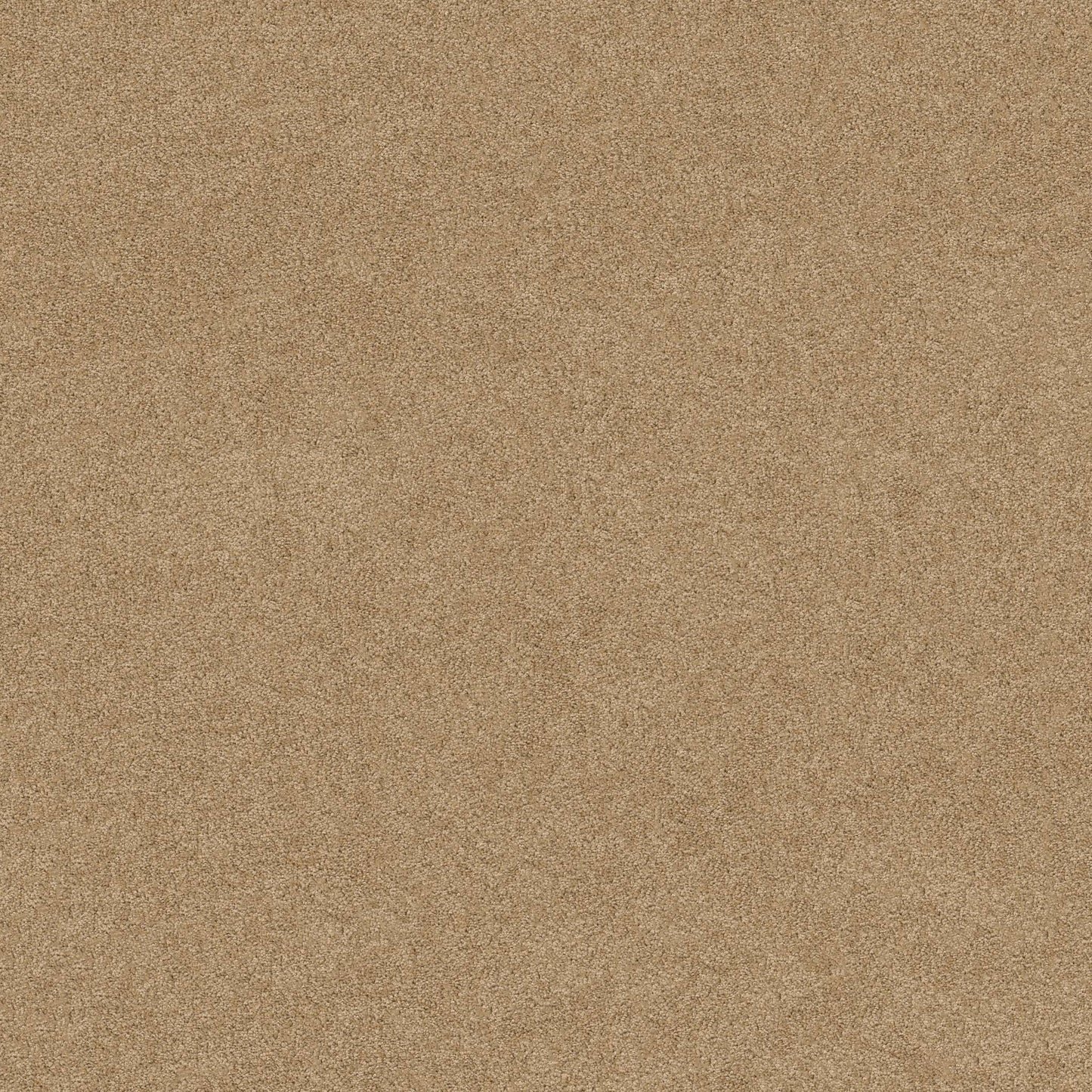 TEXTURE BCF