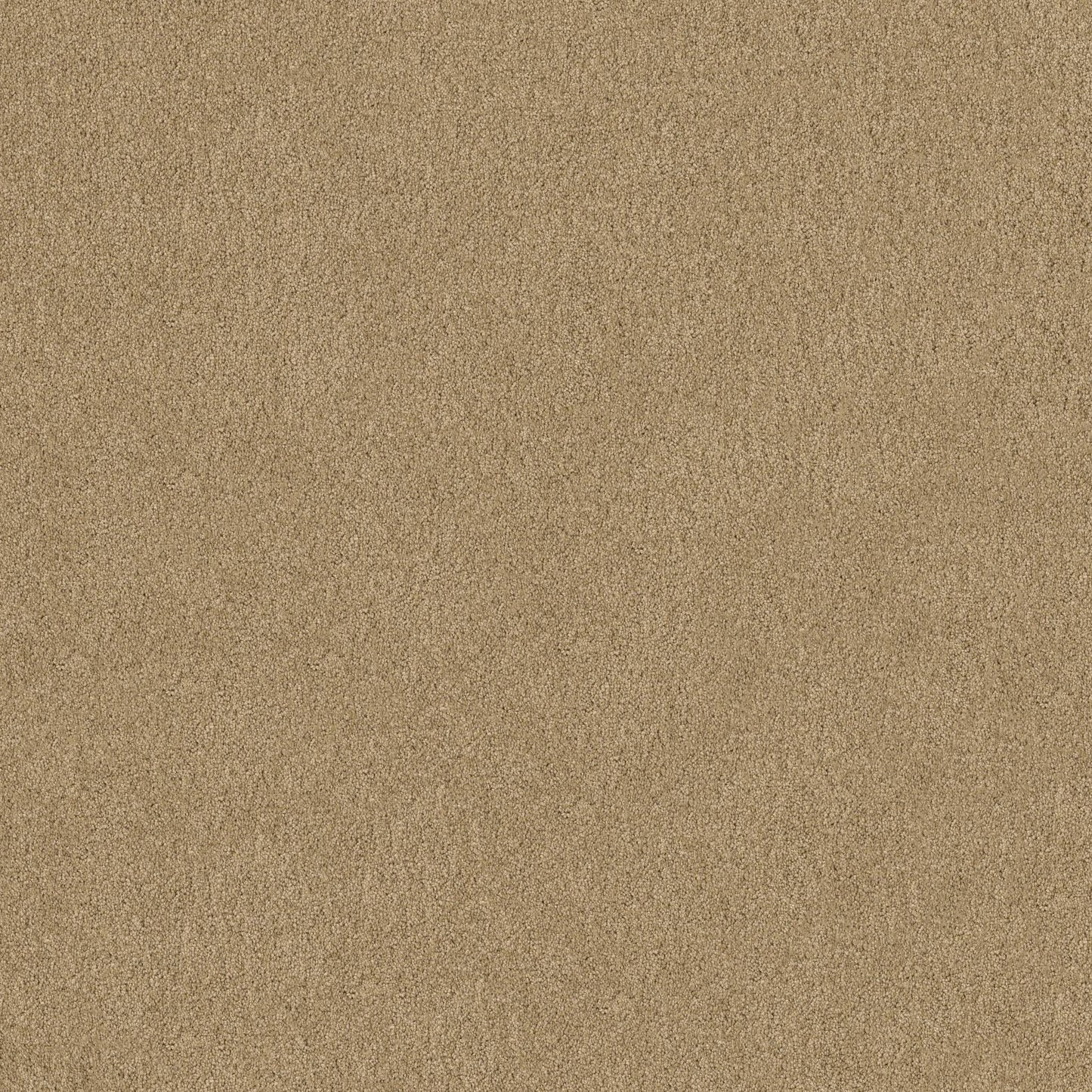 TEXTURE BCF
