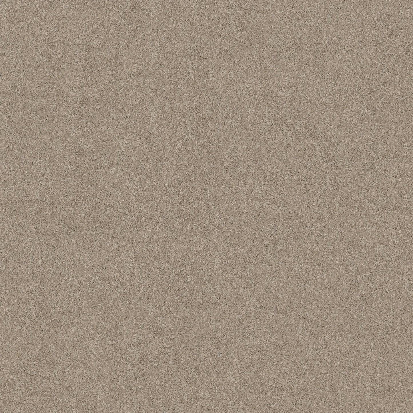 TEXTURE BCF