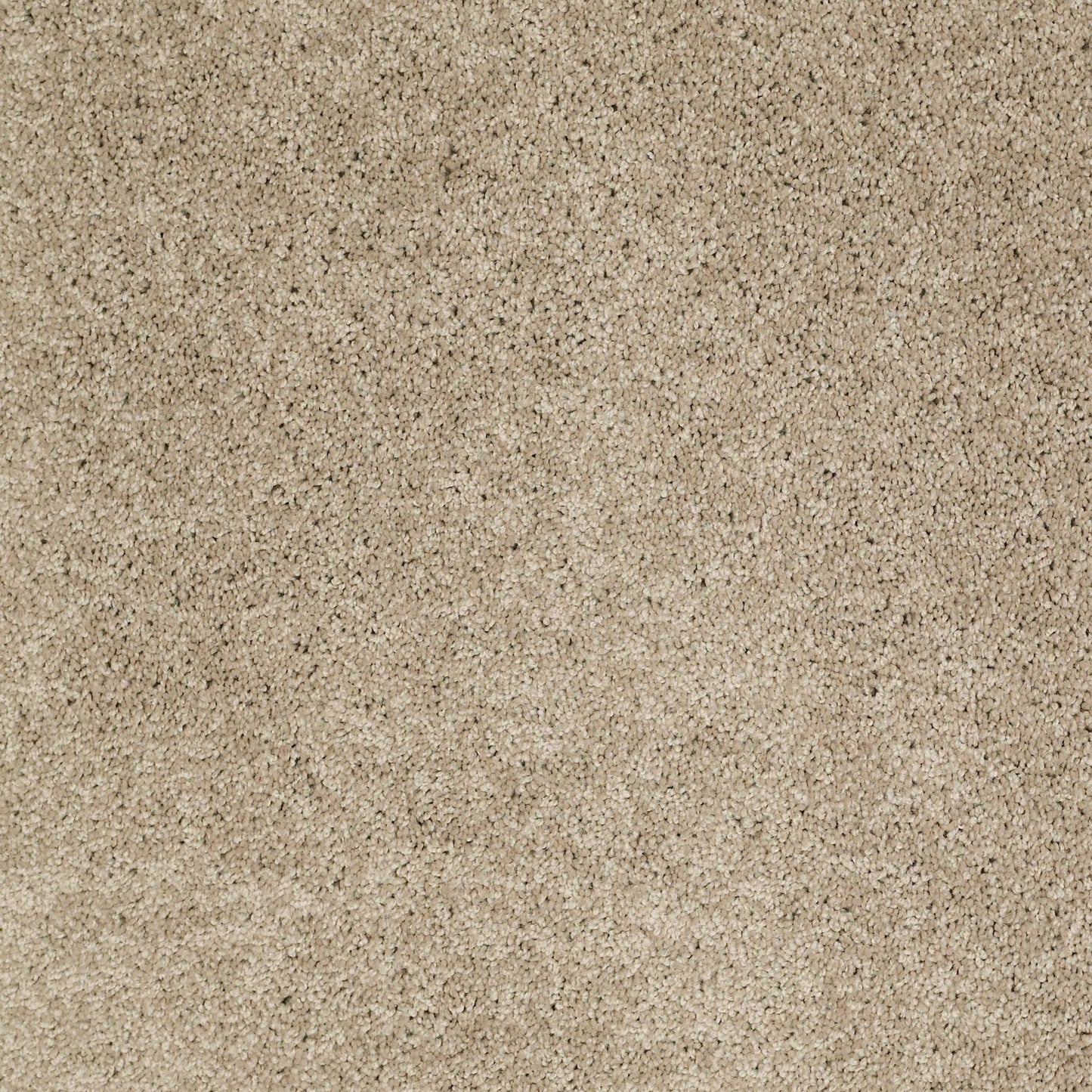 TEXTURE BCF