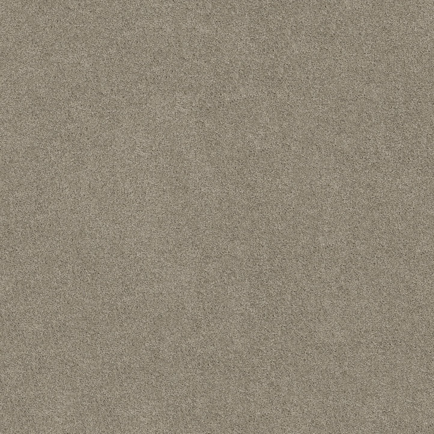 TEXTURE BCF