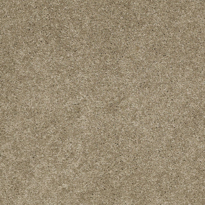 TEXTURE BCF