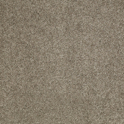 TEXTURE BCF