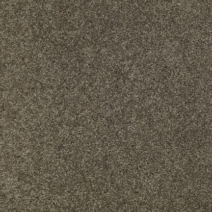 TEXTURE BCF