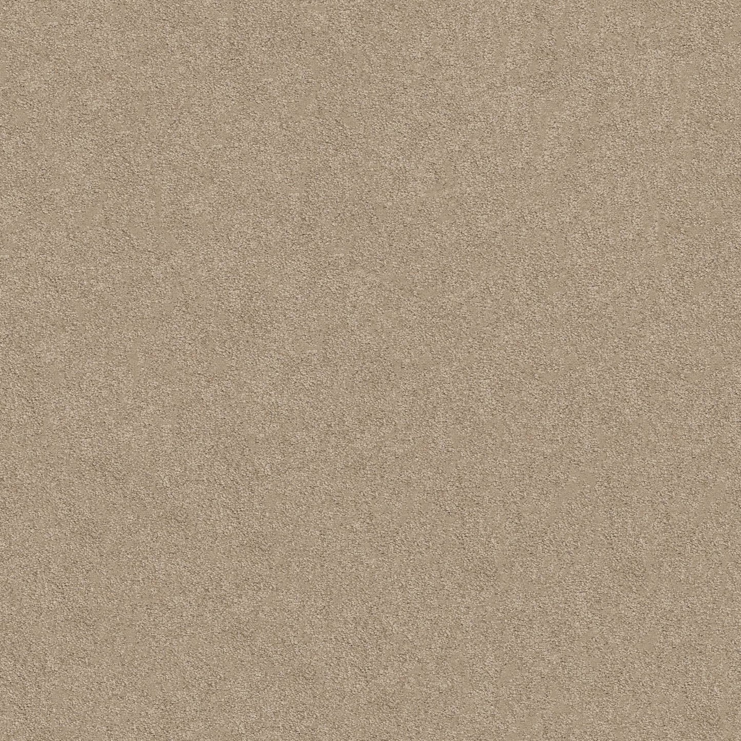 TEXTURE BCF