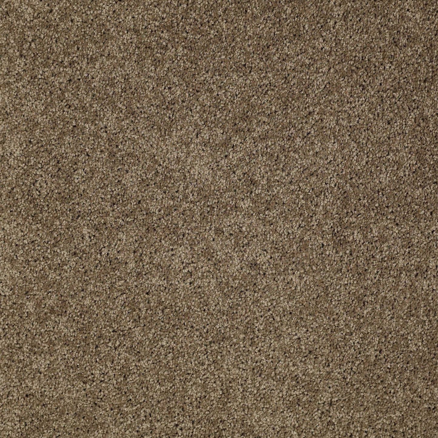 TEXTURE BCF