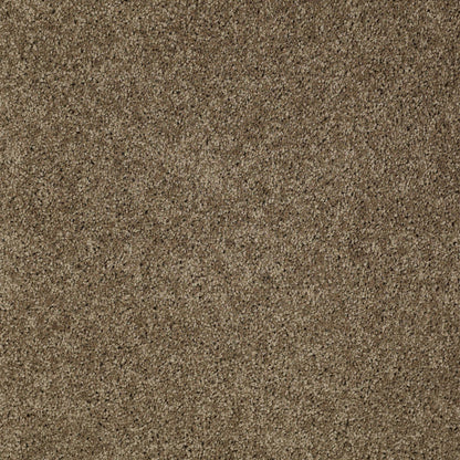 TEXTURE BCF
