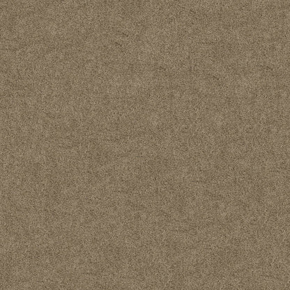 TEXTURE BCF