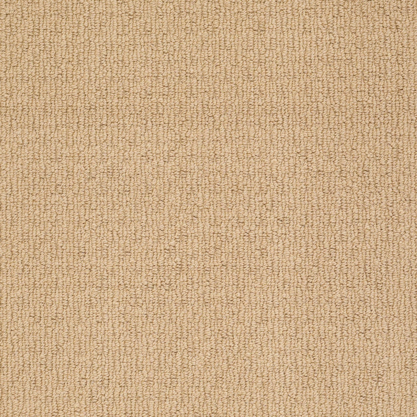 BERBER NYLON LOOP