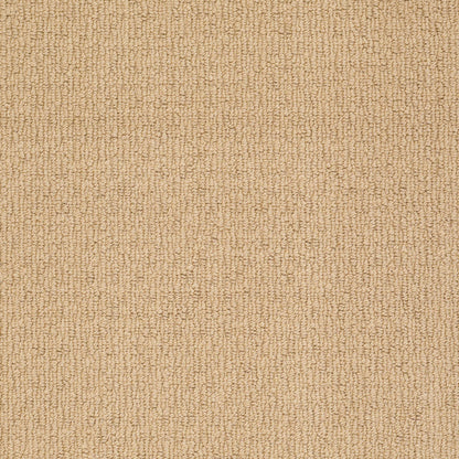 BERBER NYLON LOOP