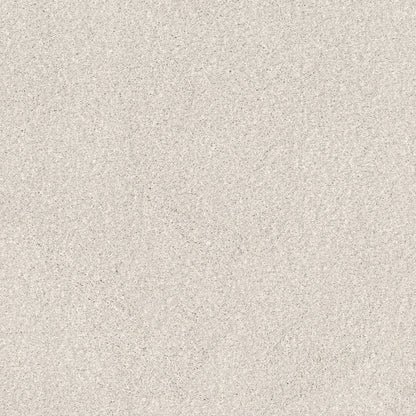TEXTURE BCF
