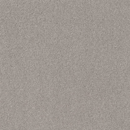TEXTURE BCF