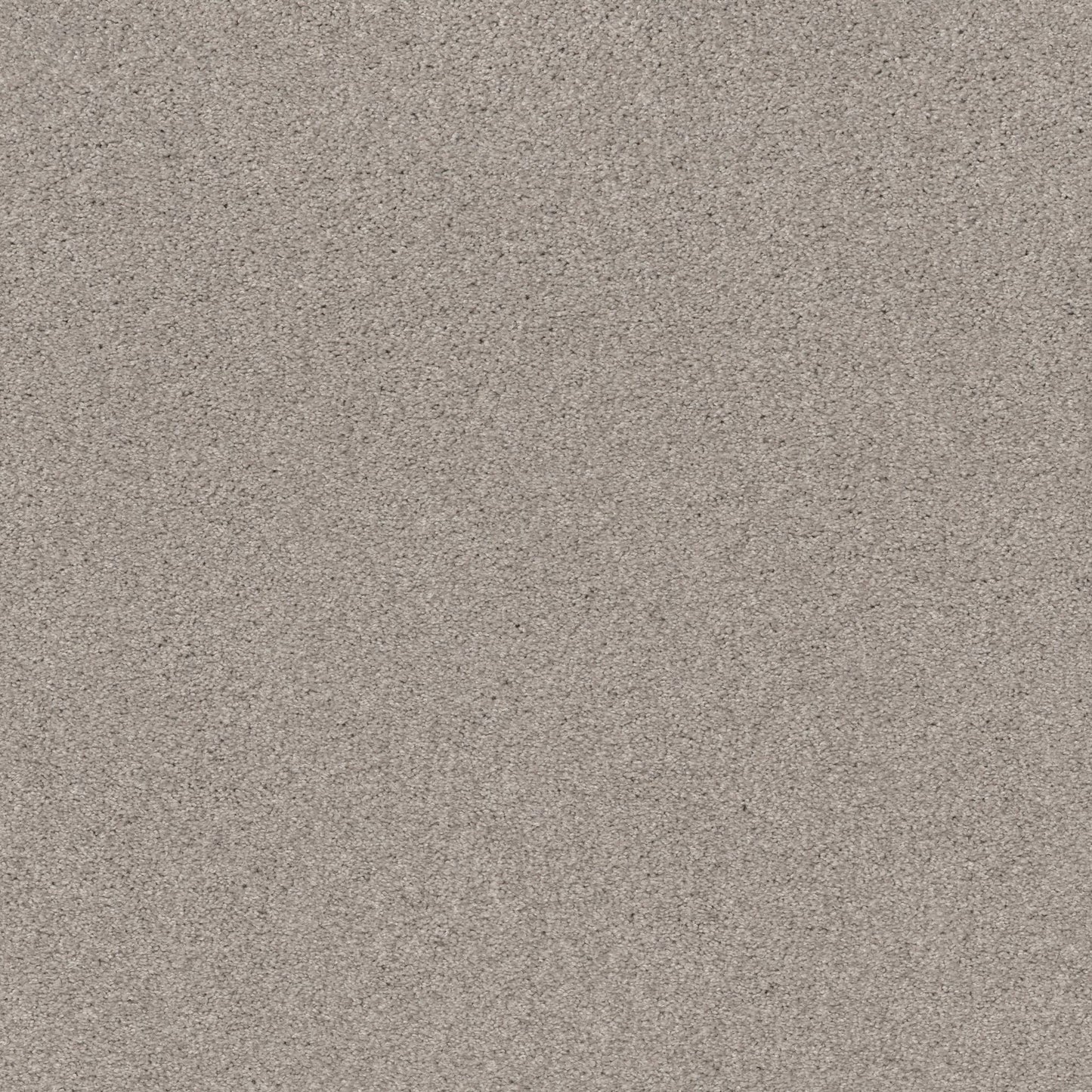 TEXTURE BCF