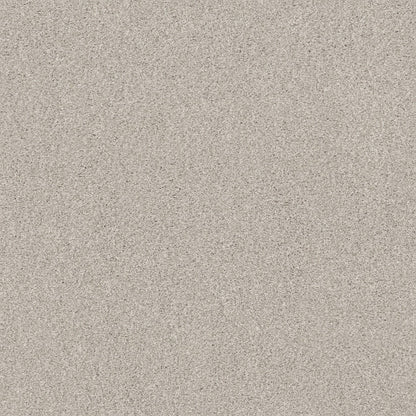 TEXTURE BCF