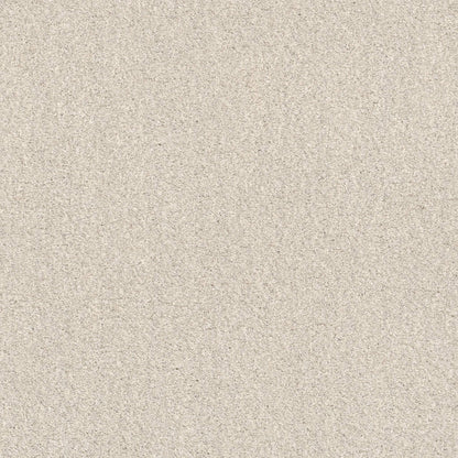 TEXTURE BCF