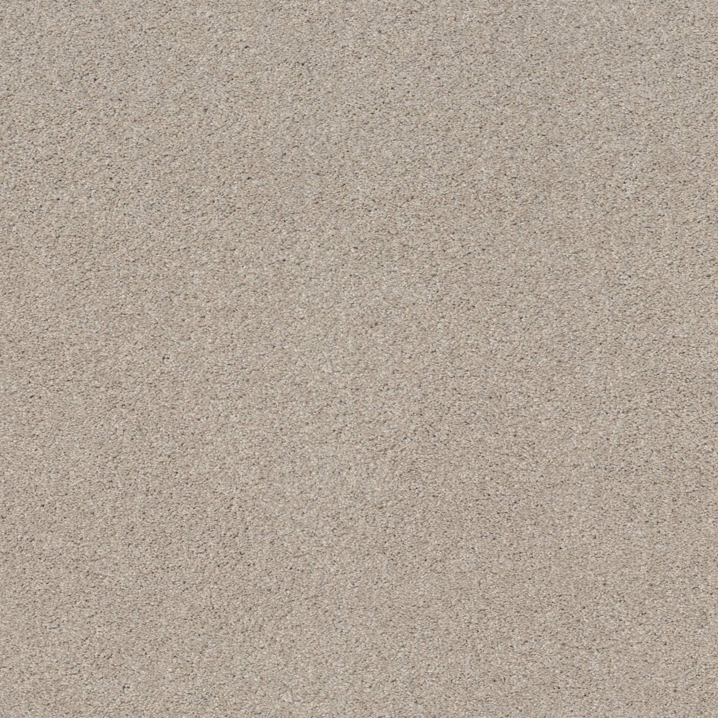 TEXTURE BCF