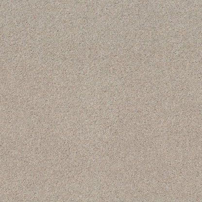 TEXTURE BCF