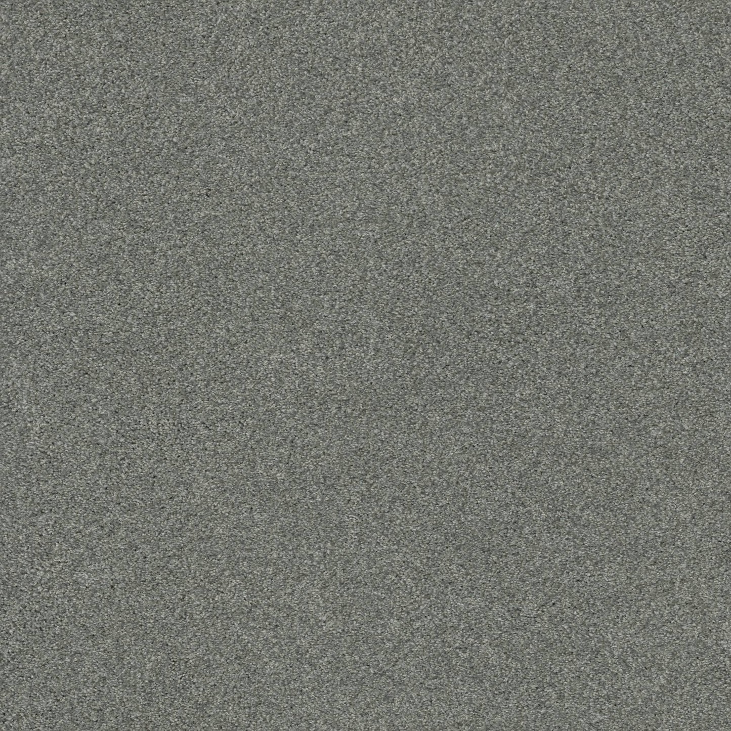 TEXTURE BCF