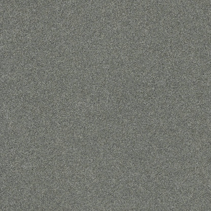 TEXTURE BCF