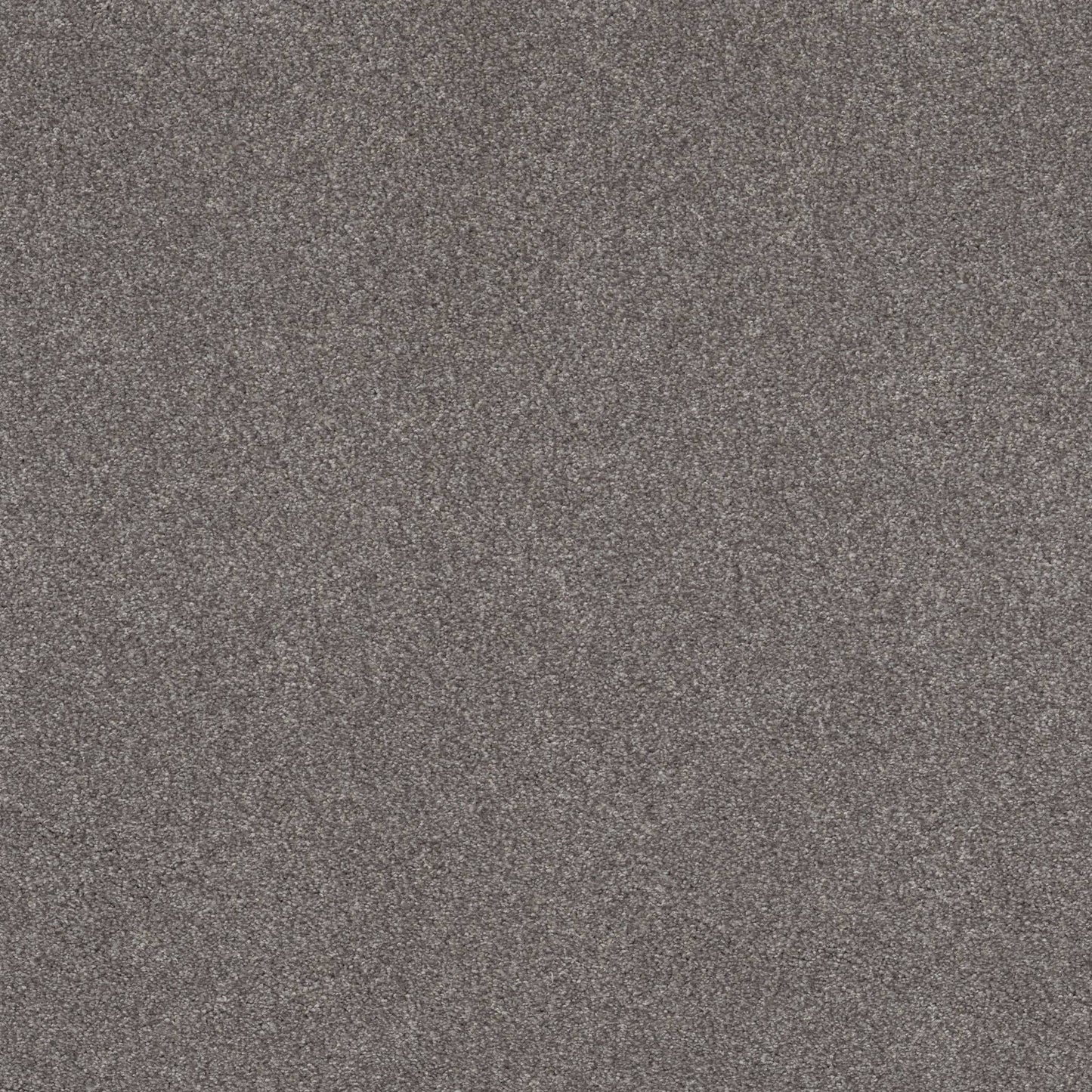 TEXTURE BCF