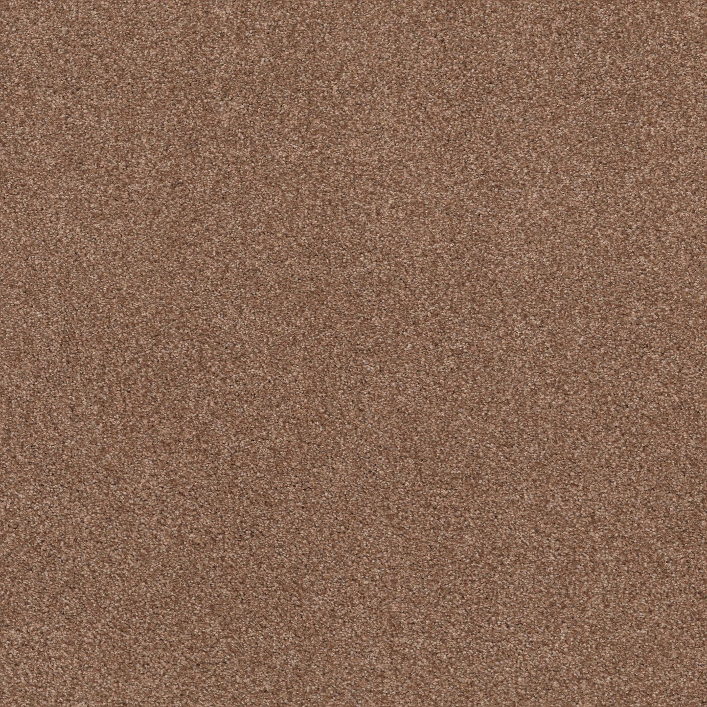 TEXTURE BCF
