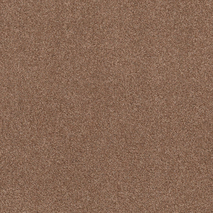 TEXTURE BCF