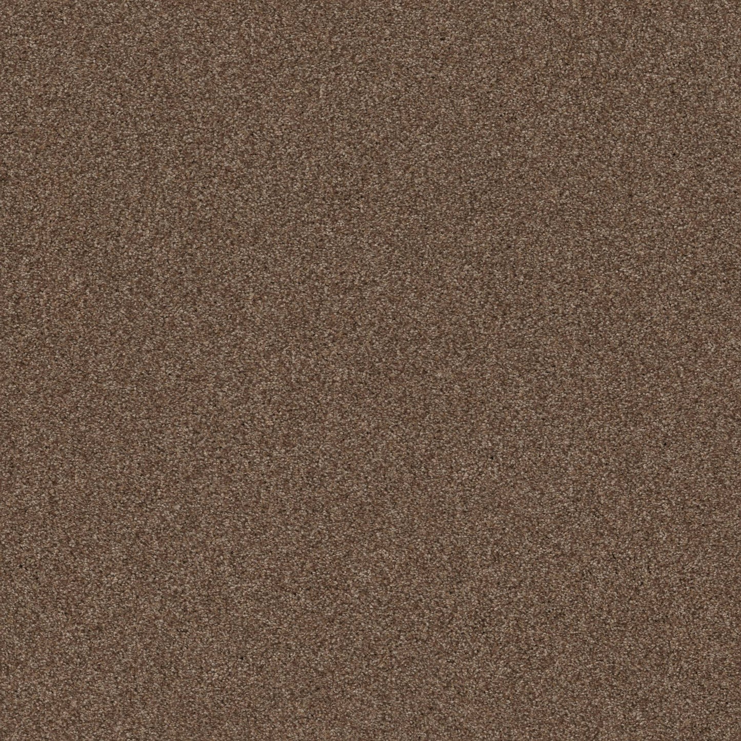 TEXTURE BCF