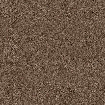 TEXTURE BCF
