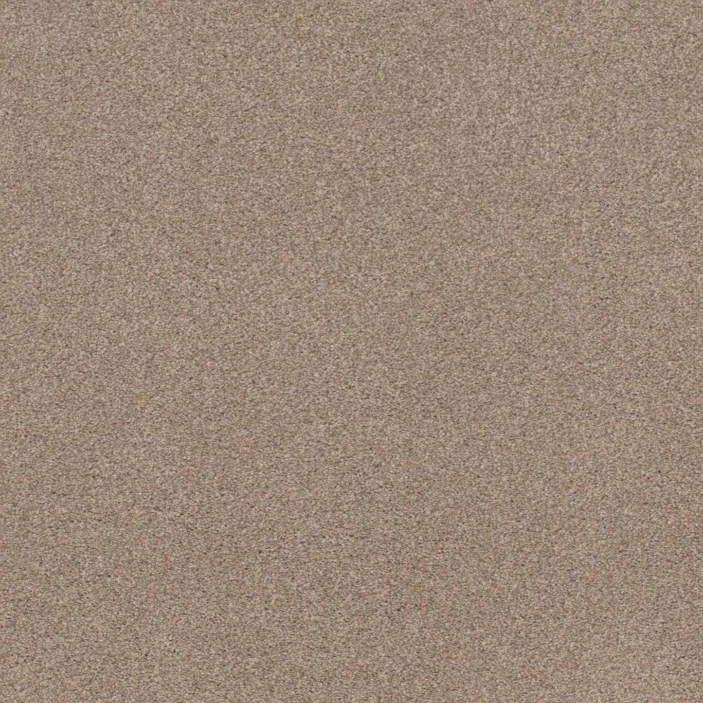 TEXTURE BCF
