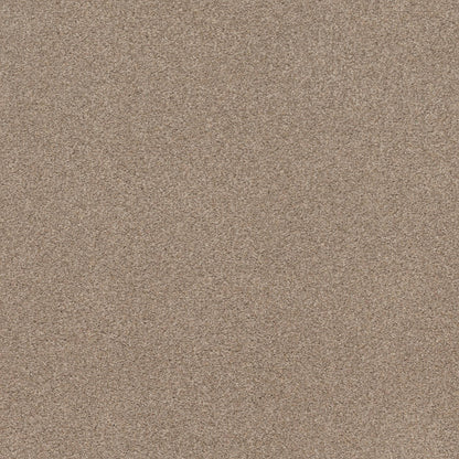 TEXTURE BCF