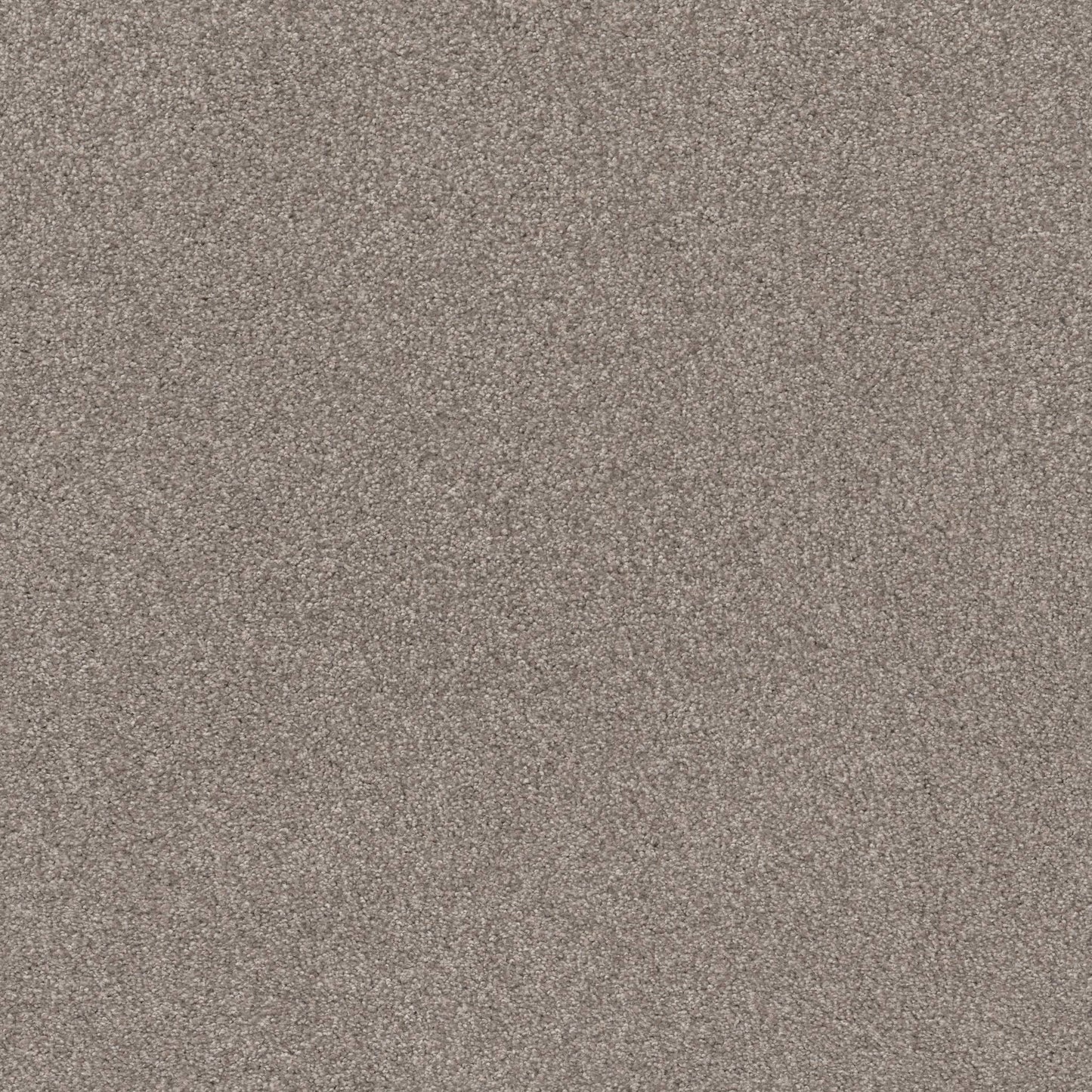 TEXTURE BCF