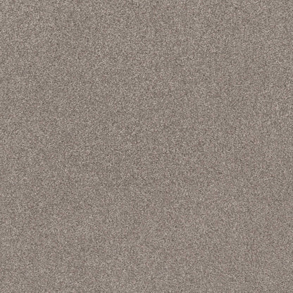 TEXTURE BCF