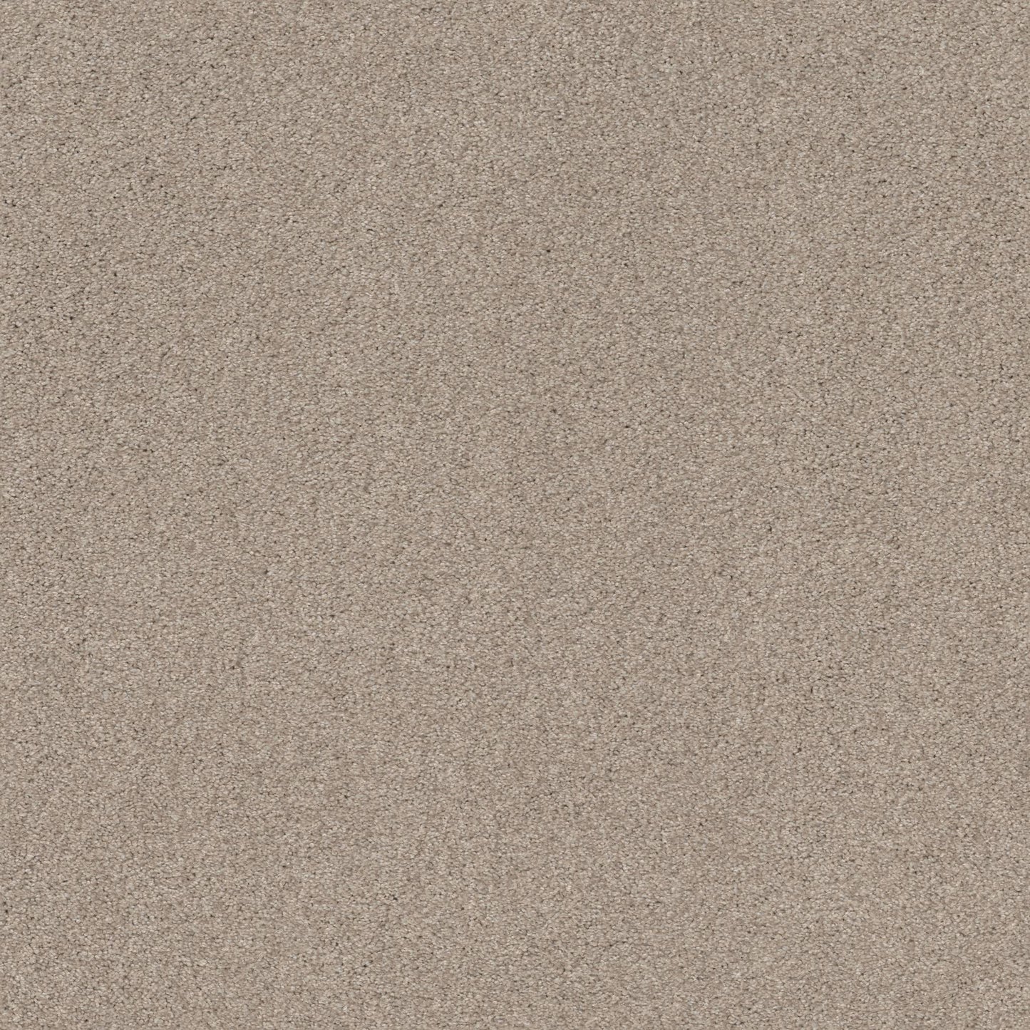 TEXTURE BCF