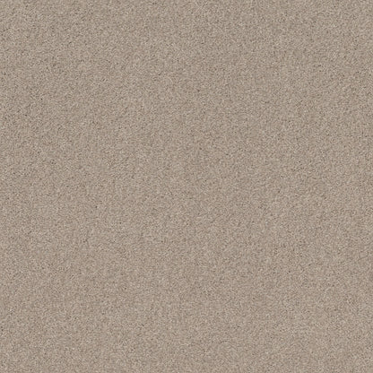TEXTURE BCF