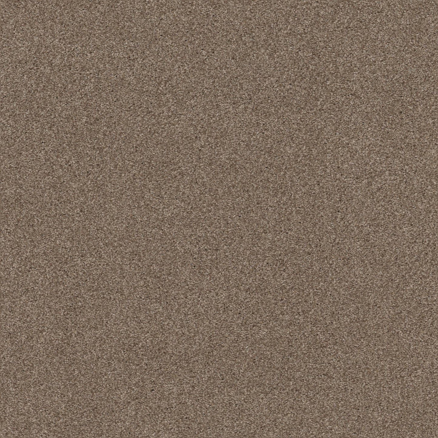 TEXTURE BCF