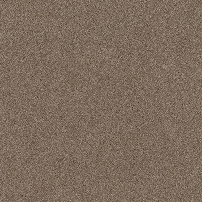 TEXTURE BCF