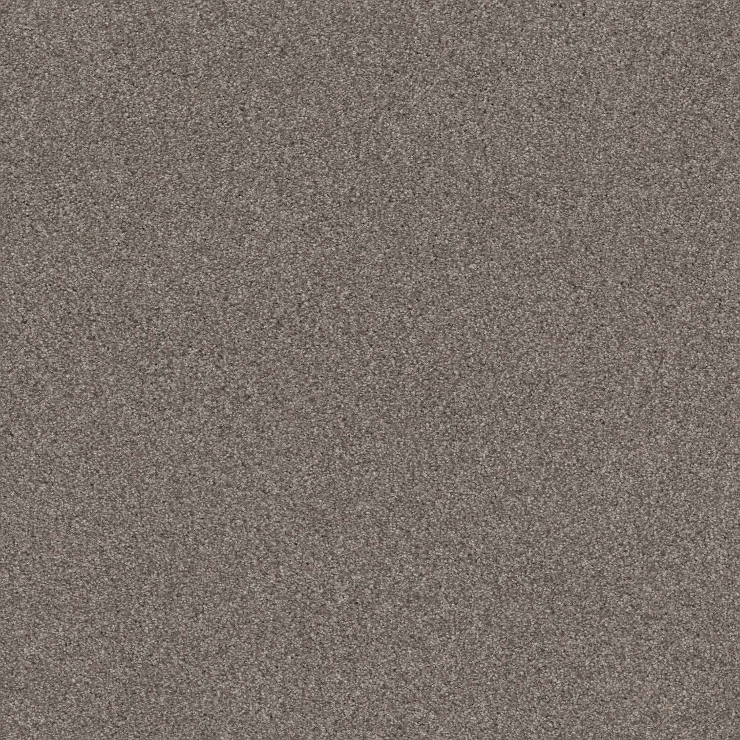 TEXTURE BCF