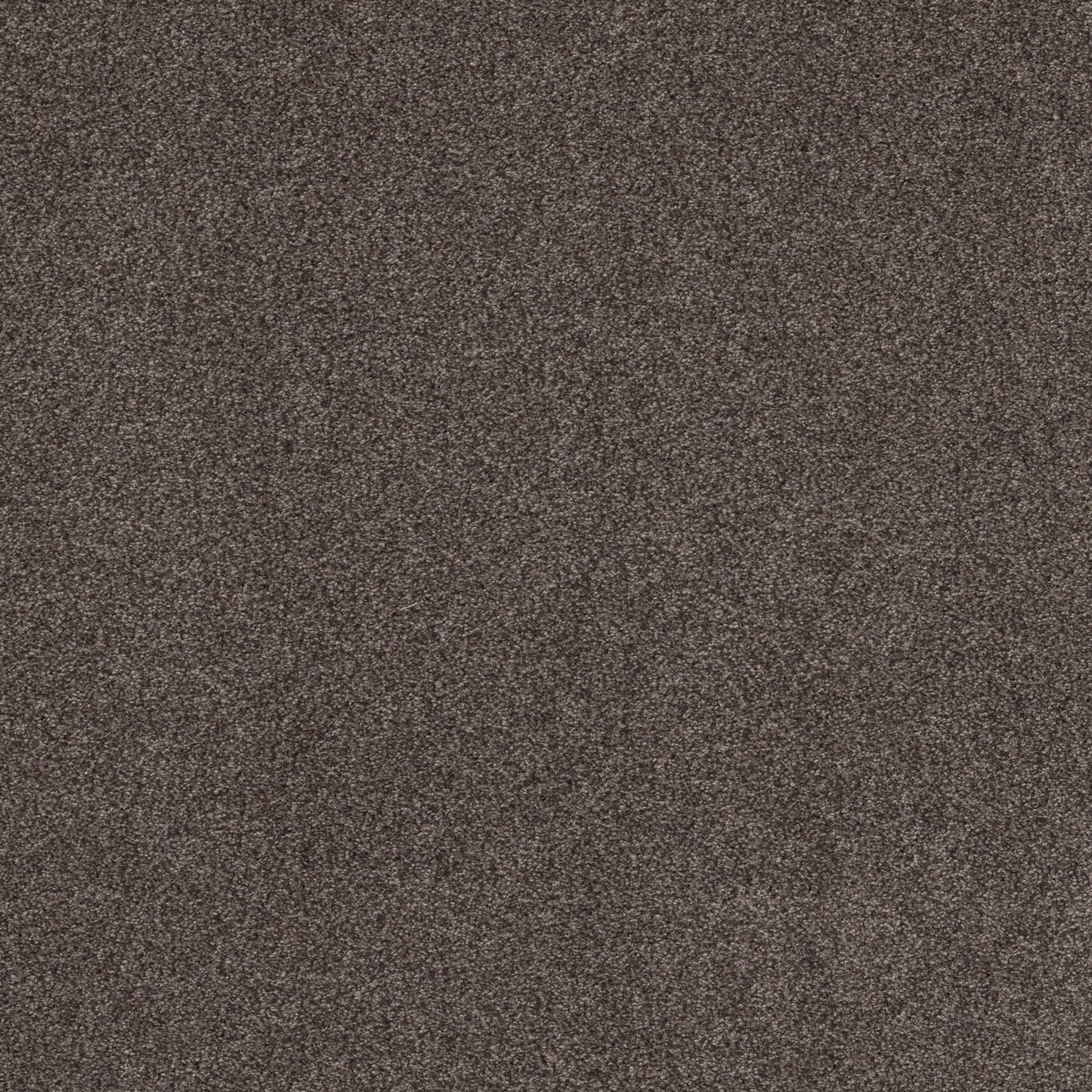 TEXTURE BCF