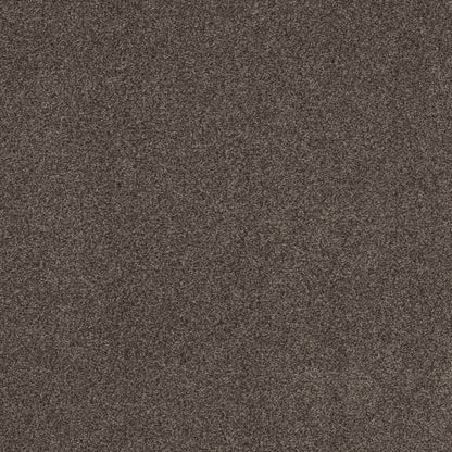 TEXTURE BCF