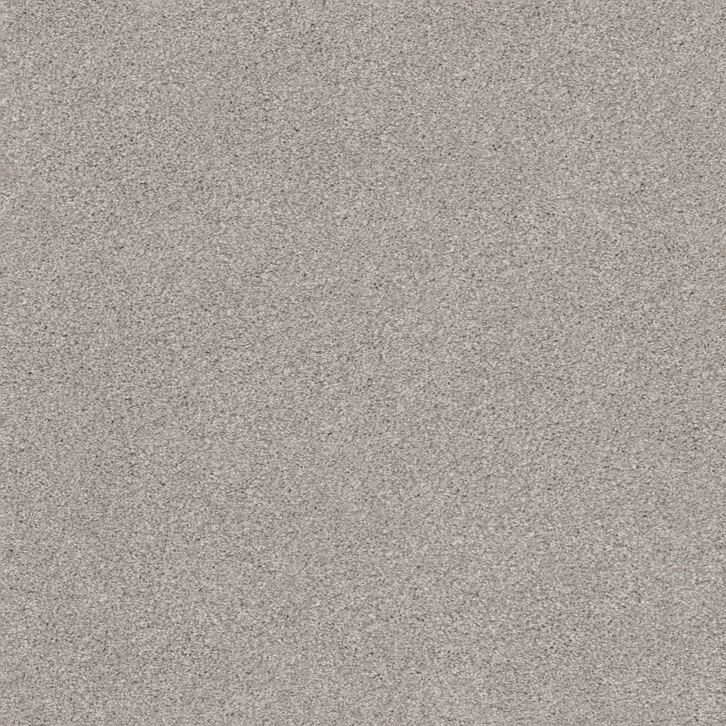 TEXTURE BCF