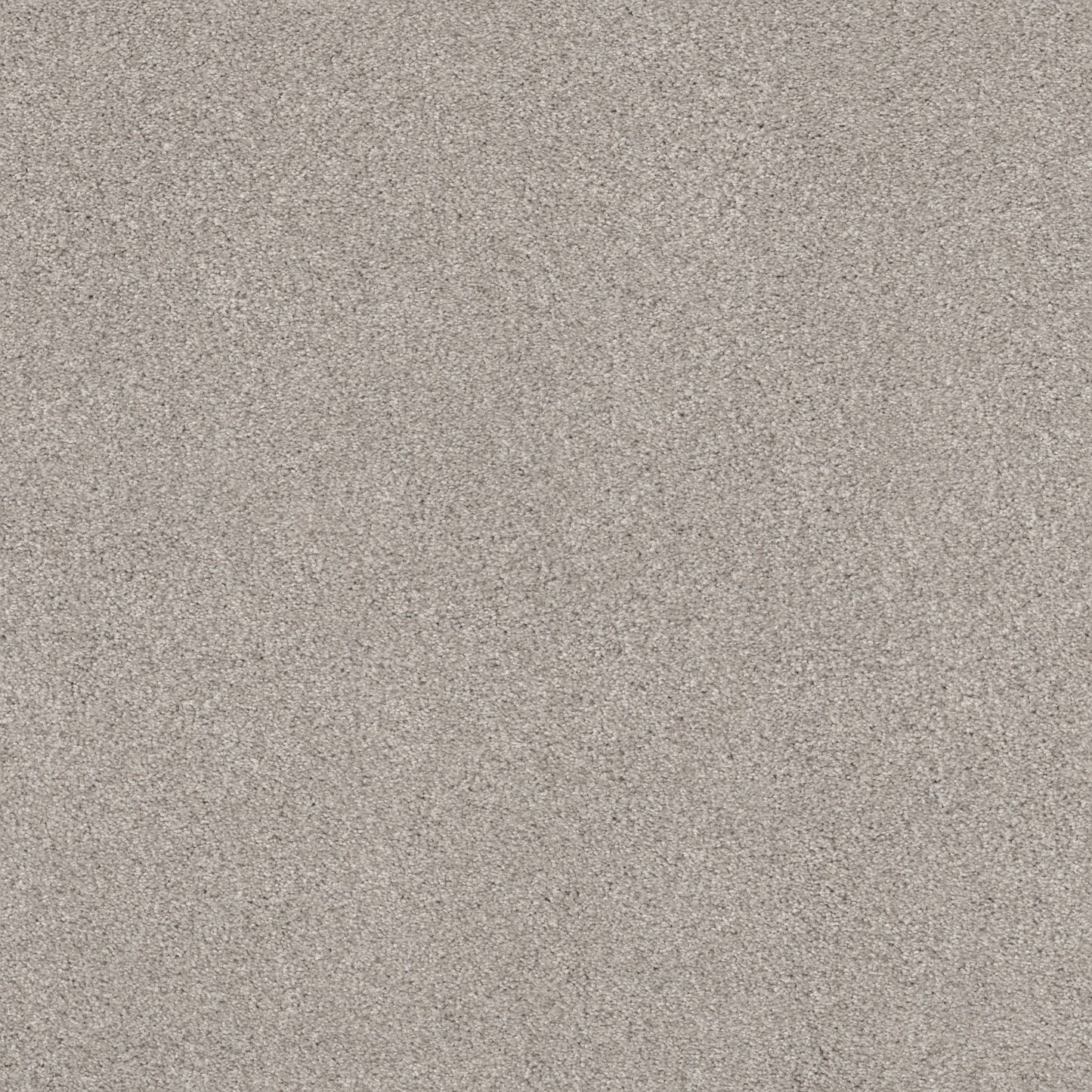 TEXTURE BCF
