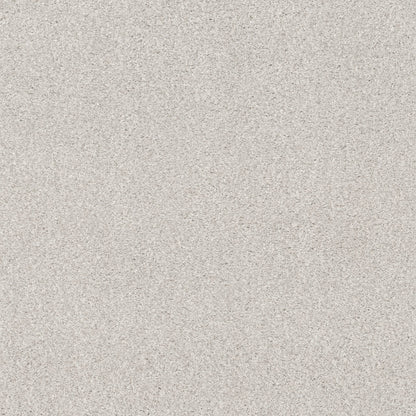 TEXTURE BCF