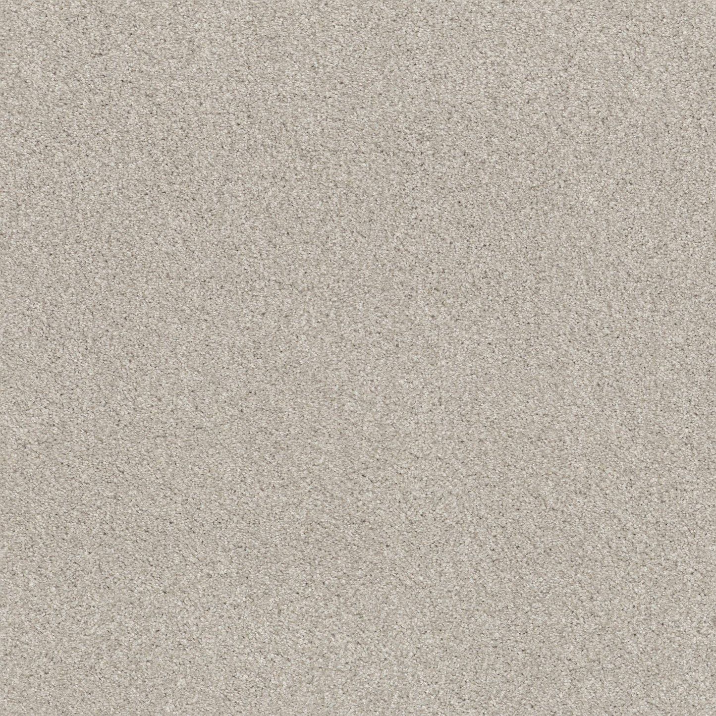 TEXTURE BCF