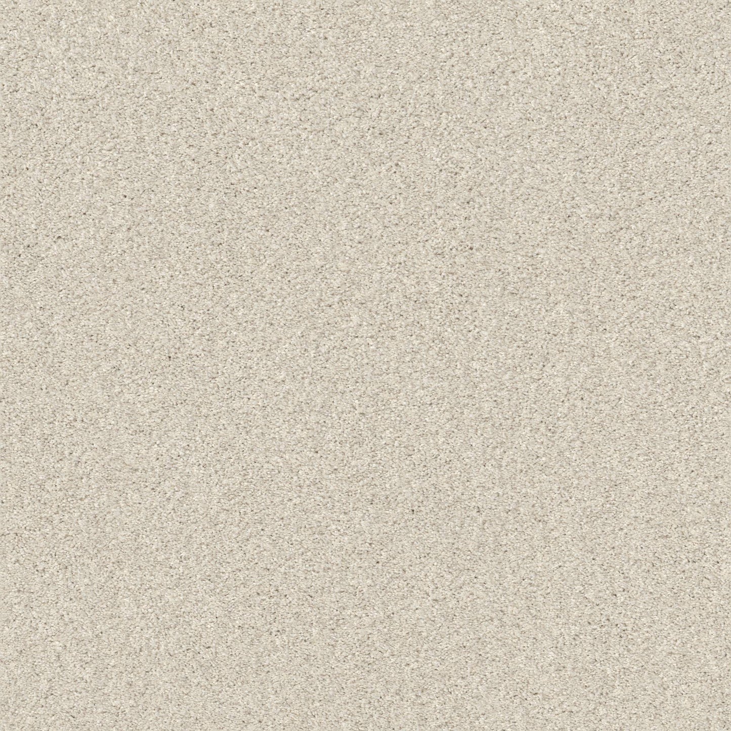 TEXTURE BCF