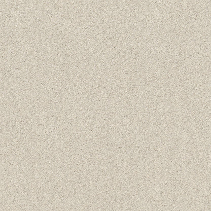 TEXTURE BCF